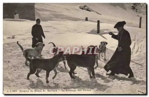 Cartes postales Chien Chiens Hospice du Grand St Bernard Le dressage des chiens