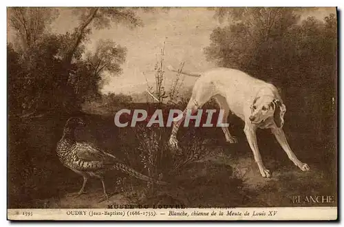 Cartes postales Chasse Oudry Blanche chienne de la meute de Louis XV Chien