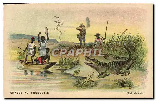 Cartes postales Chasse Chasse au crocodile