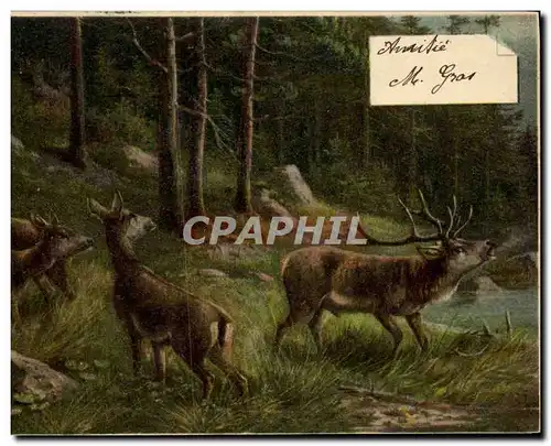 Cartes postales Chasse Cerf Biches