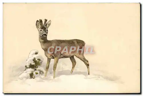 Cartes postales Chasse Biche