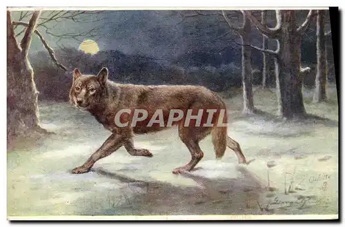 Cartes postales Chasse Loup