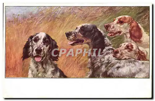 Cartes postales Chasse Chien Chiens