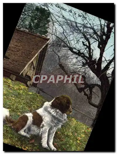 Cartes postales Chien Chiens Barry Gardien de la ferme