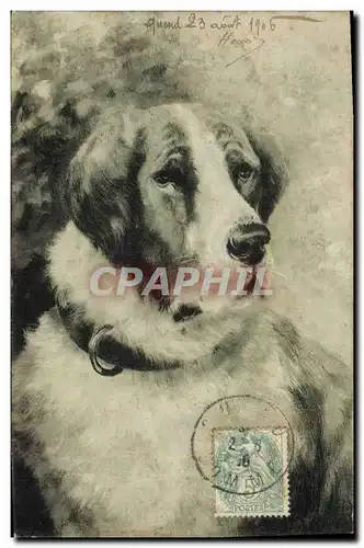 Cartes postales Chien Chiens