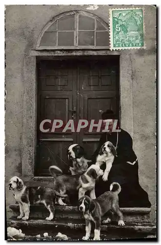 Ansichtskarte AK Chien Chiens Hospice du Grand St Bernard Pretre et famille de jeunes chiens
