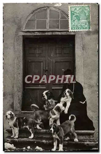 Cartes postales Chien Chiens Hospice du Grand St Bernard Pretre et famille de jeunes chiens