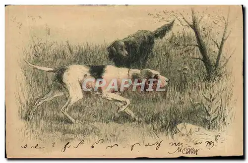 Cartes postales Chasse Chien