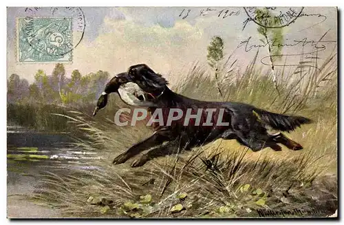 Ansichtskarte AK Chasse Chien Canard