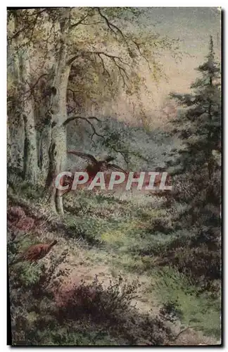 Cartes postales Chasse Perdrix