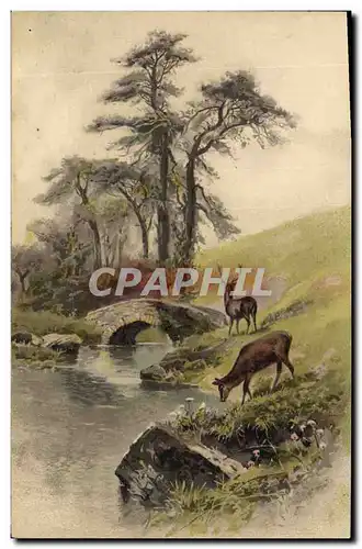 Cartes postales Chasse Biches