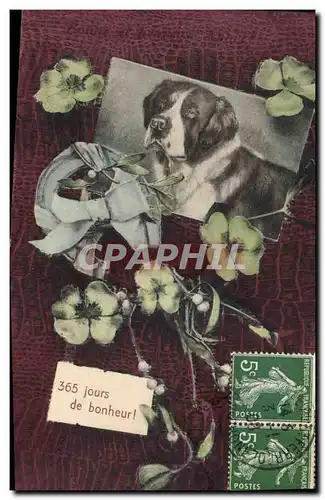 Cartes postales Chien Chiens