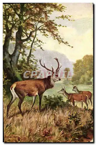 Cartes postales Chasse Cerf Biche