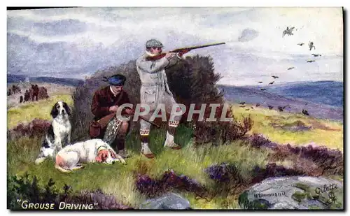 Cartes postales Chasse Chasseur Grouse driving Chien Chiens