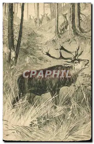 Cartes postales Chasse Cerf