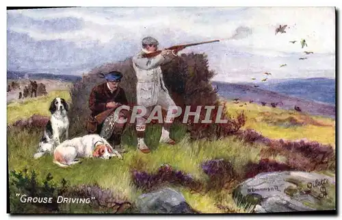 Cartes postales Chasse Grouse Driving Chien Chiens Perdrix
