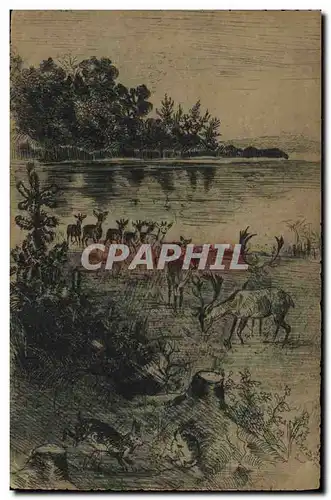 Cartes postales Chasse Cerf Biche Elan Lapin