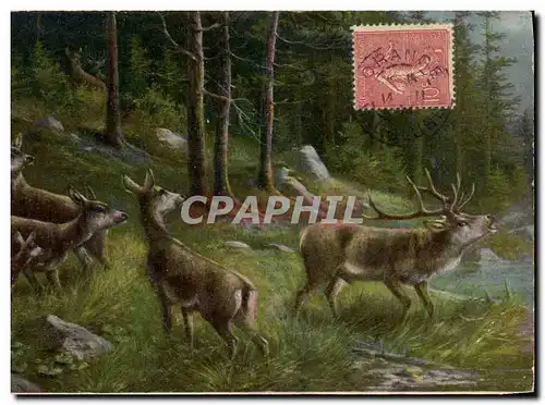 Cartes postales Chasse Cerf