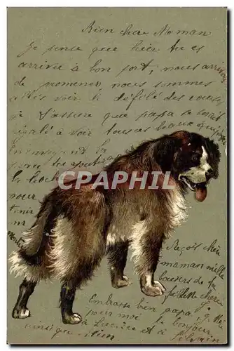 Cartes postales Chien Chiens