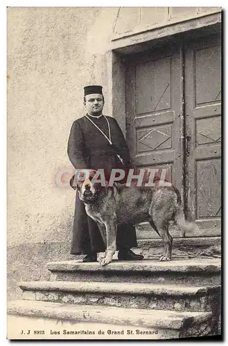 Ansichtskarte AK Chien Chiens Les Samaritains du Grand St Bernard