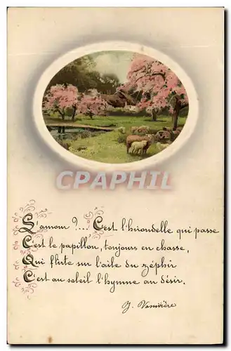 Cartes postales Fantaisie Fleurs Moutons