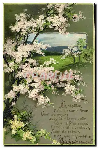 Cartes postales Fantaisie Fleurs