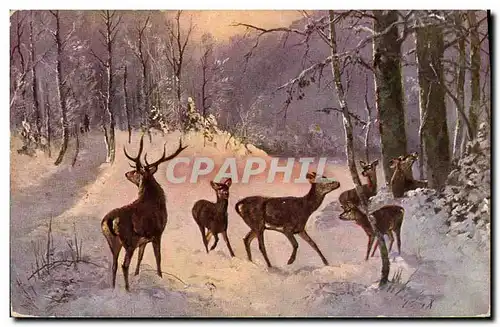 Cartes postales Chasse Biches Biche