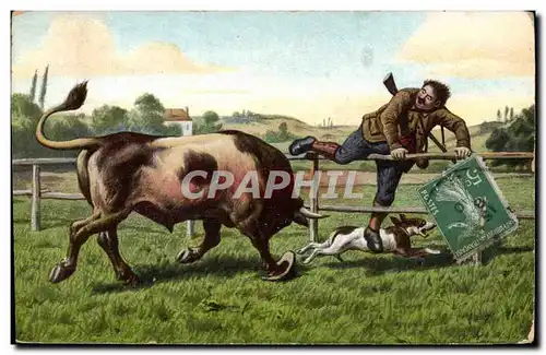 Cartes postales Chasse Chasseur Chasseurs Chien Taureau