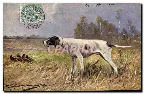 Cartes postales Chasse Chien