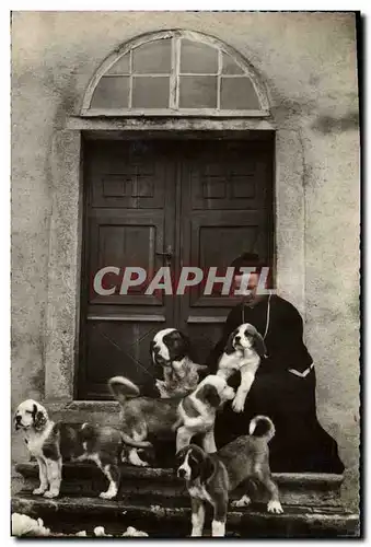 Ansichtskarte AK Chiens Chien Hospice du Grand St Bernard Pretre et famille de jeunes chiens