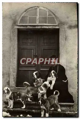 Cartes postales Chiens Chien Hospice du Grand St Bernard Pretre et famille de jeunes chiens