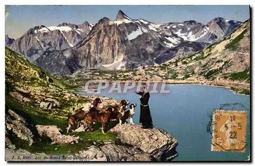 Cartes postales Chiens Chien Lac du Grand Saint Bernard