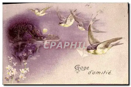 Cartes postales Fantaisie Fleurs Oiseaux