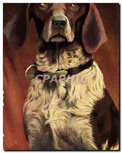 Cartes postales Chasse Chien