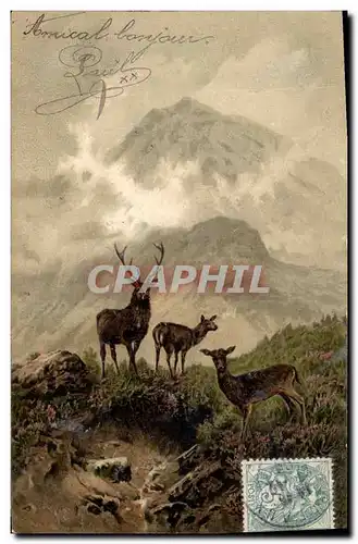 Cartes postales Chasse Biches