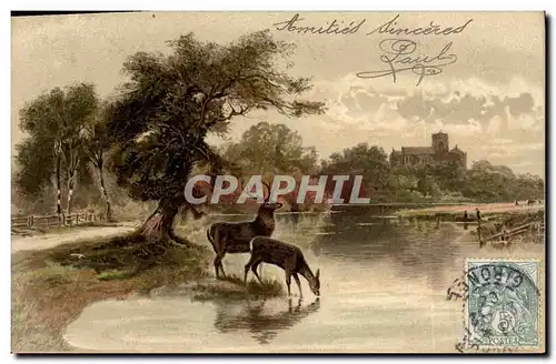 Cartes postales Chasse Biches