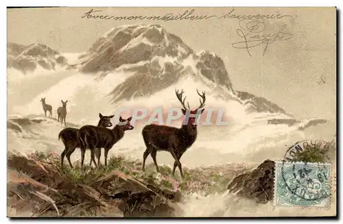 Cartes postales Chasse Cerf Biches
