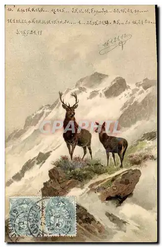 Cartes postales Chasse Cerf Biche