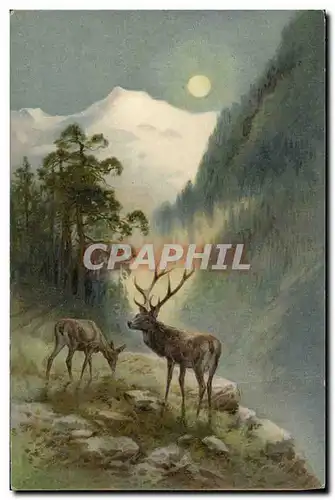 Cartes postales Chasse Cerf Biche