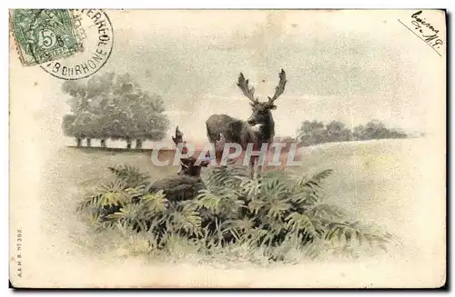 Cartes postales Chasse Cerf