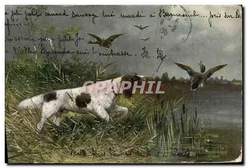 Cartes postales Chasse Chien Canards