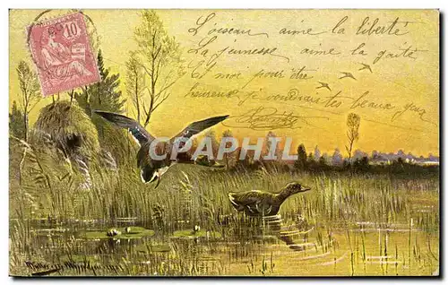 Cartes postales Chasse Canards