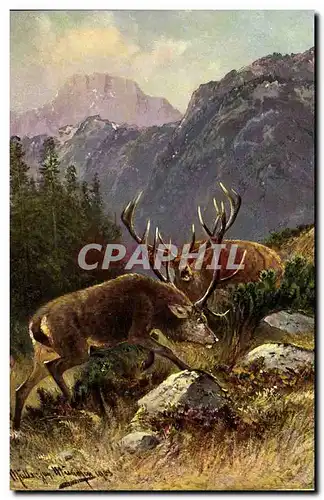 Cartes postales Chasse Cerf