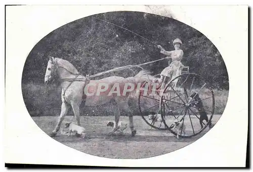 Cartes postales Equipage Cheval Chiens