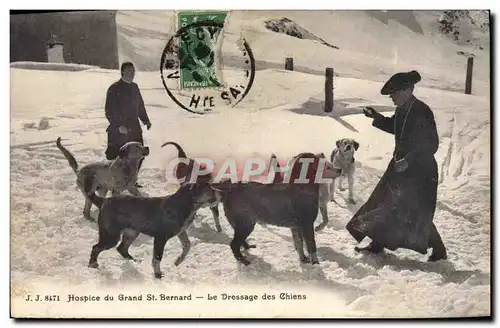 Cartes postales Chiens Chien Hospice du Grand St Bernard le dressage des chiens