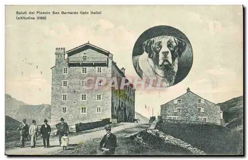 Vintage Postcard Dogs Dog saluti dal Piccolo san Bernardo Lato Italia�