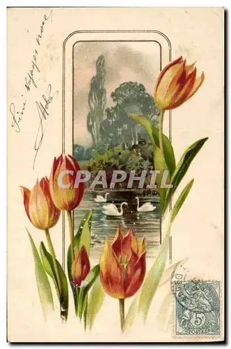 Cartes postales Fantaisie Fleurs Cygnes
