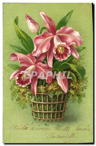 Cartes postales Fantaisie Fleurs