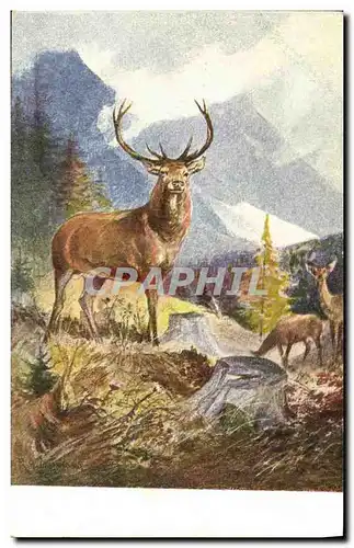 Cartes postales Chasse Biche