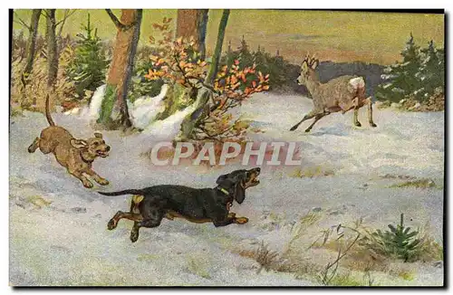 Cartes postales Chasse Chien Chiens Biche